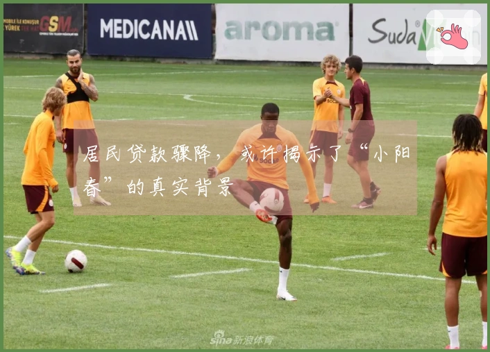 居民贷款骤降，或许揭示了“小阳春”的真实背景